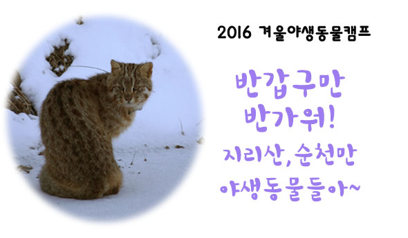[참가자모집] 녹색교육센터와 함께 하는 2016 겨울야생동물캠프! 지리산, 순천만 야생동물탐사단