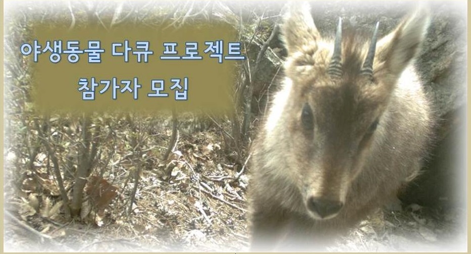 [참가자 모집]야생동물 다큐 프로젝트!