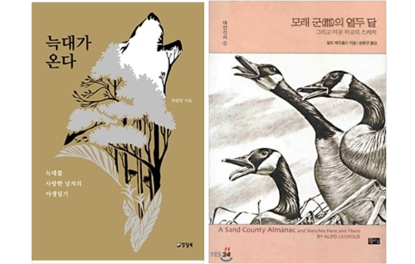 [함께보고 싶은 책] 늑대가 온다 / 모래 군의 열두 달